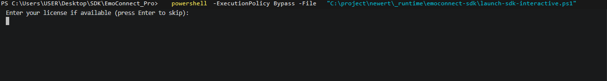 Windows terminal waiting for a license ID after launching the SDK